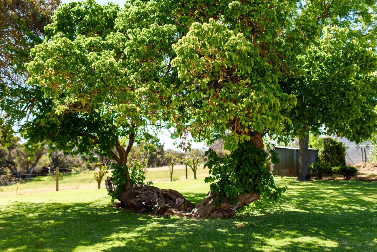 Fairlawn Estate Guest House Busselton Exterior photo